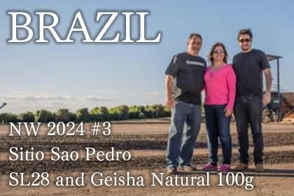BRAZIL NW 2024 #3/ Sitio Sao Pedro SL28 and Geisha Natural 100gʥ֥饸 NW 2024  󡦥ڥɥ SL28 ʥ 
