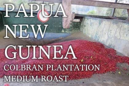 PAPUA NEW GUINEA / COLBRAN PLANTATION / MEDIUM ROASTʥѥץ˥塼˥ ֥ ƥԥ å 