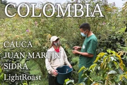 COLOMBIA/CAUCA/JUAN MARTIN/ SIDRA LightRoast 100gʥӥ ե󡦥ޥƥࡡɥ顡åɡ