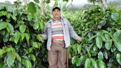 Colombia Pedro Antonio Narino El Higueron ホセ ロドリゲス ラ シラ農園 パライネマ種 沖縄セラードコーヒー オンラインストア Colombia Pedro Antonio Narino El Higueron ホセ ロドリゲス ラ シラ農園 パライネマ種 沖縄セラードコーヒー オンラインストア
