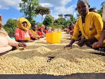 ETHIOPIA YIRGACHEFFE G-1/CHELBESA WASHEDʥԥ 륬ե G-1 ٥¼ åɡ