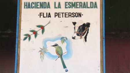 PANAMA ESMERALDA PRIVATE COLLECTION GEISHA LIGHTROAST（パナマ ラ・エスメラルダ農園 ゲイシャ種 ウォッシュド）