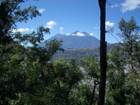 GUATEMALA / ANTIGUA BUENA VISTA/ VILLA SARCHI / DARKROASTʥƥޥ顡ƥ֥ʥӥࡡӥ㥵