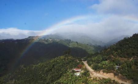 COSTA RICA AGRIVID ORANGE TYPICA HONEY LIGHT ROAST 100gʥꥫ ӥåȡޥߥ 󥸥ƥԥ ϥˡץ 
