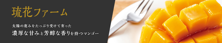 琉花ファーム