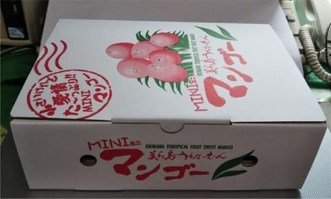 沖縄産　ミニアップルマンゴー　5キロ ミニマンゴー5kg 沖縄産