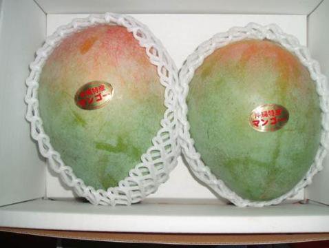 キーツマンゴー秀品 約2kg - 沖縄マンゴー直売【おきなわんふるーつ園】