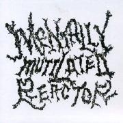 未開封★定価以下 MUCC 惡-THE BROKEN RESUSCITATION ムック mucc『惡-THE BROKEN RESUSCITATION朱限定盤