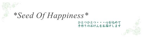 ФΤŹ*Seed Of Happiness*ηäߤй񤫤