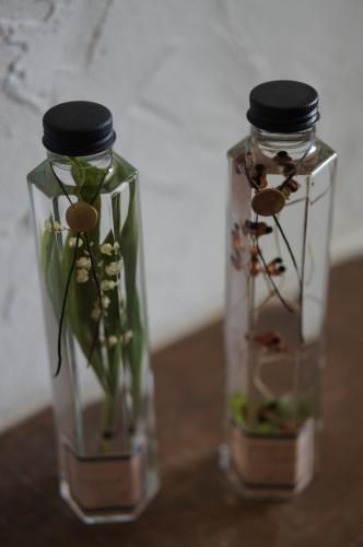 植物標本ボタニカルボトルC（L）2本セット - deuxR - Dried