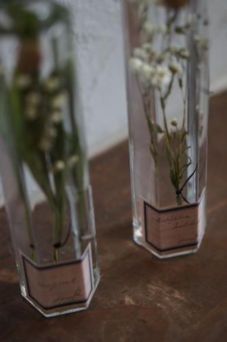 植物標本ボタニカルボトルE（L）2本セット - deuxR - Dried