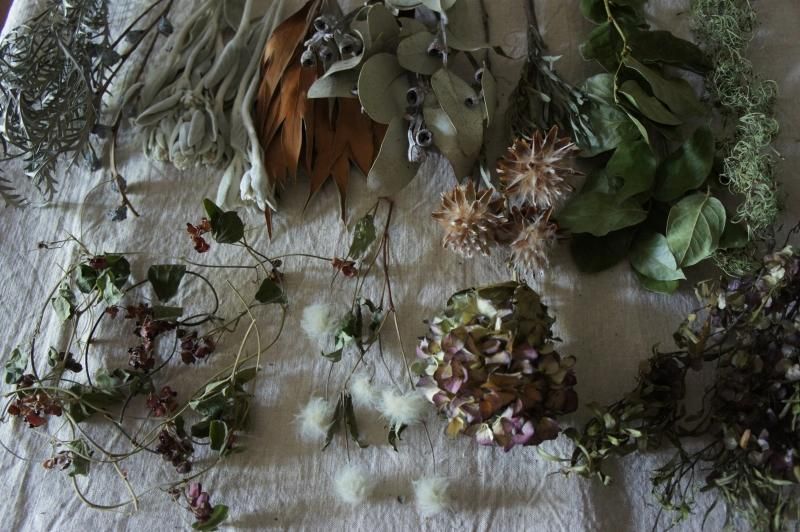 花材セットd ワイルドフラワー系 Deuxr Dried Botanicals ドライフラワー 蜜蝋花 リース 花材販売 花材セットd ワイルドフラワー系 Deuxr Dried Botanicals ドライフラワー 蜜蝋花 リース 花材販売