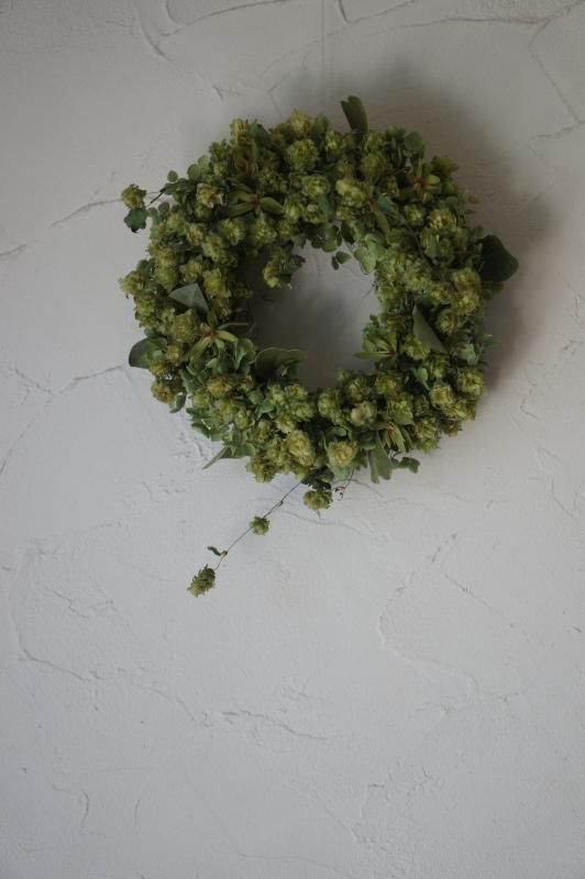 ホップとアナベルのリース Deuxr Dried Botanicals ドライフラワー 蜜蝋花 リース 花材販売 ホップとアナベルのリース Deuxr Dried Botanicals ドライフラワー 蜜蝋花 リース 花材販売