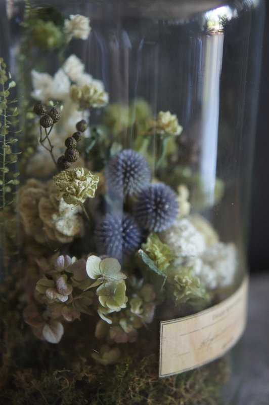 ガラス瓶の植物標本 - deuxR - Dried Botanicals - ドライフラワー 