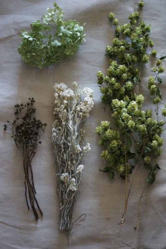 ホップ花材セット - deuxR - Dried Botanicals - ドライフラワー,蜜蝋