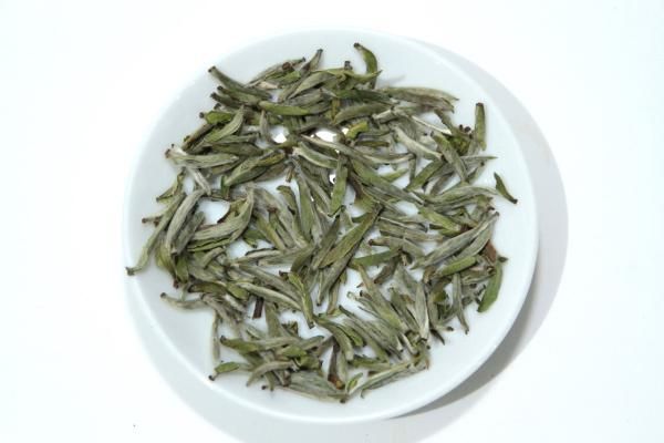 Ƭ  ݶ 2025ǯ