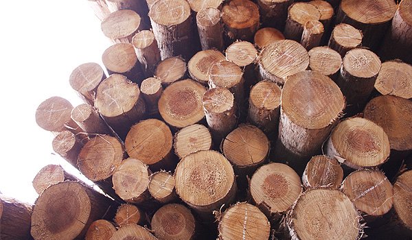 国内産木材100% ナチュラルウッドチップ