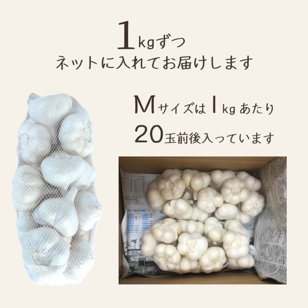 青森にんにく（福地ホワイト六片）Mサイズ1kg 約20玉 青森から産地直送【公式】田子のいいもの 和の郷にんにく王国