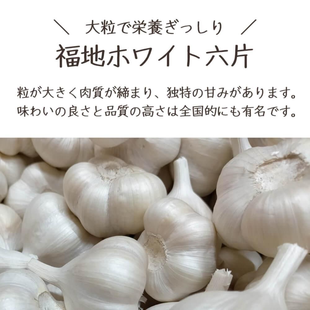 青森県産にんにく（福地ホワイト六片）Lサイズ5kg 約15玉×5 青森から