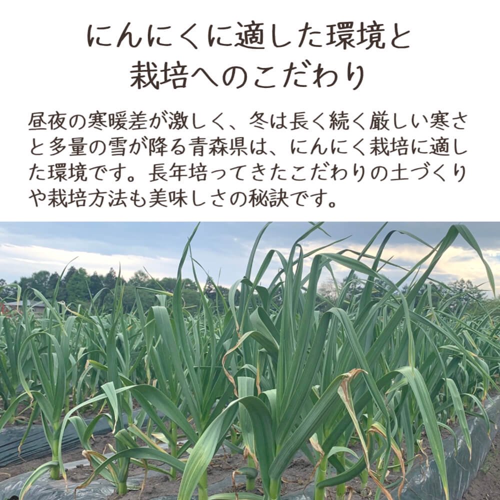 青森県産にんにく（福地ホワイト六片）Lサイズ5kg 約15玉×5 青森から産地直送【公式】田子のいいもの 和の郷にんにく王国