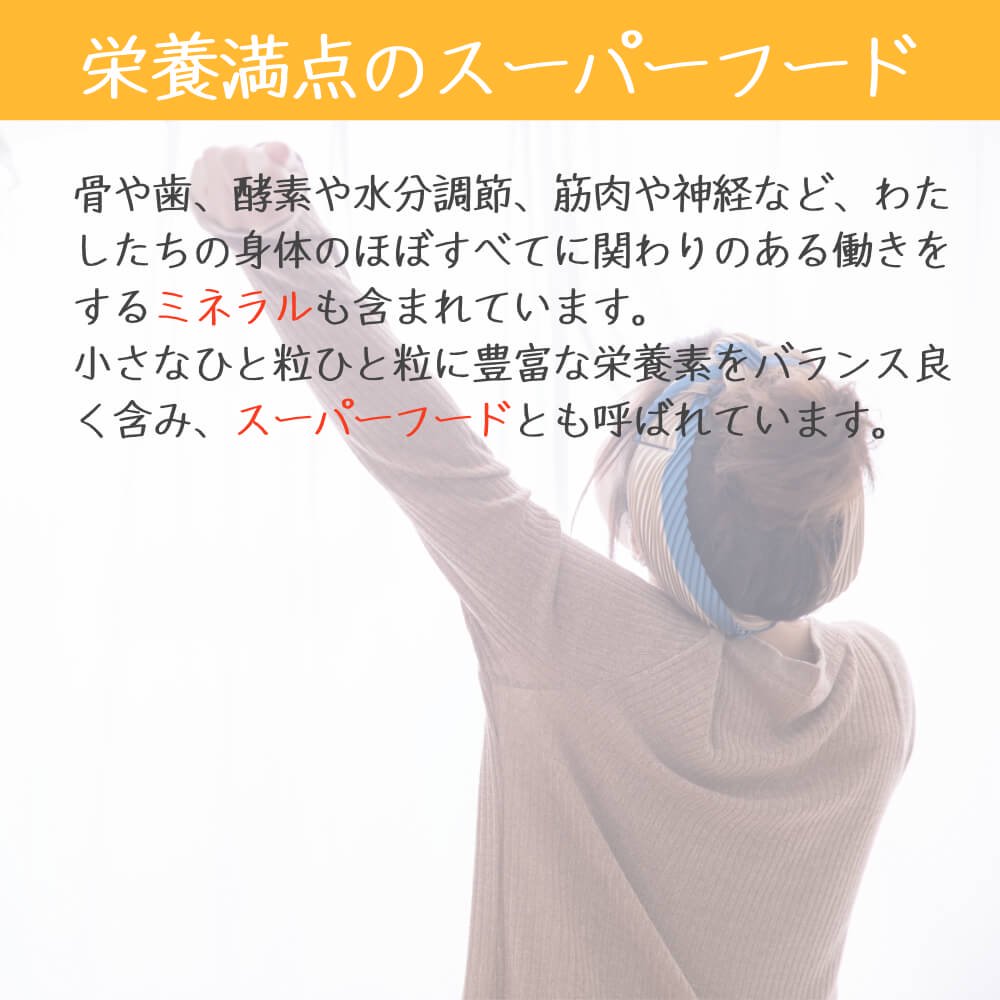 ＼プチっともちもち食感／化学肥料不使用栽培・岩手県産いわてっこ玄米5kg【公式】田子のいいもの 和の郷にんにく王国