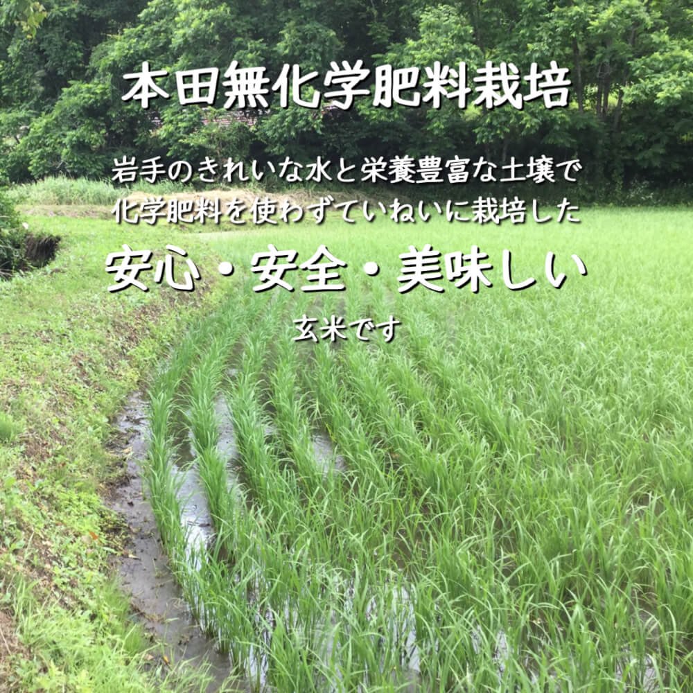 ＼プチっともちもち食感／化学肥料不使用栽培・岩手県産いわてっこ玄米5kg【公式】田子のいいもの 和の郷にんにく王国