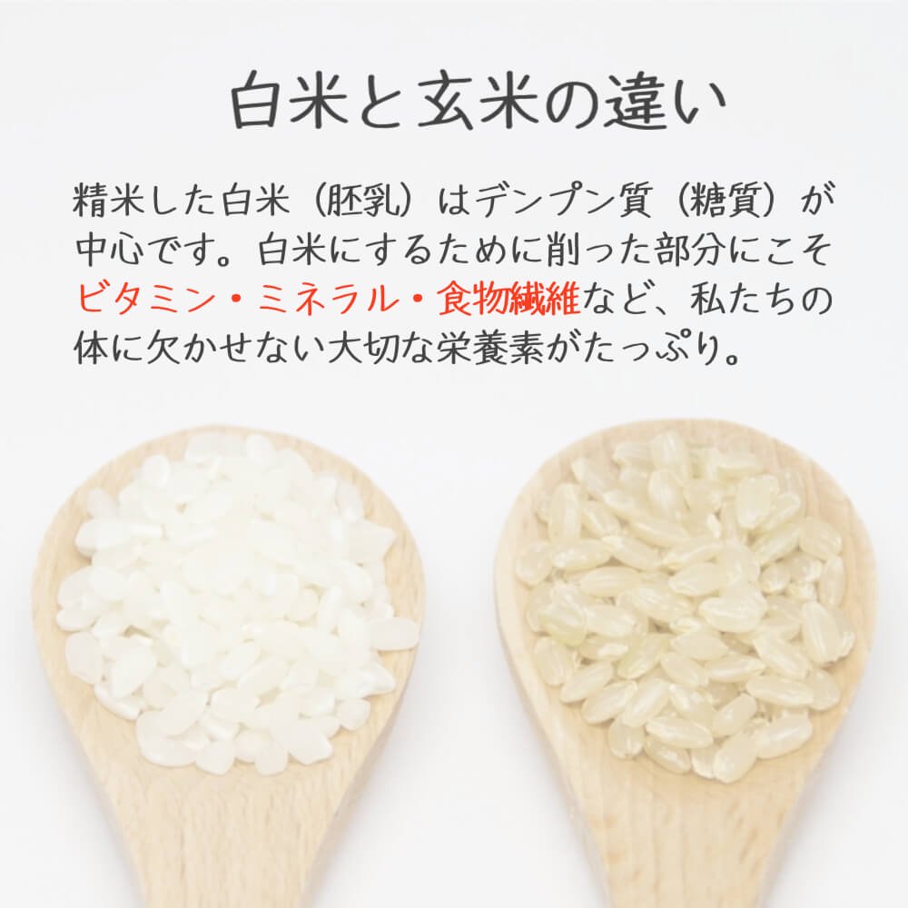 ＼プチっともちもち食感／化学肥料不使用栽培・岩手県産いわてっこ玄米5kg【公式】田子のいいもの 和の郷にんにく王国