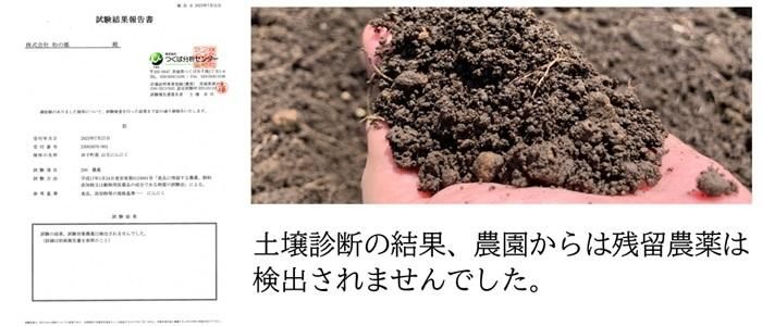 残留農薬