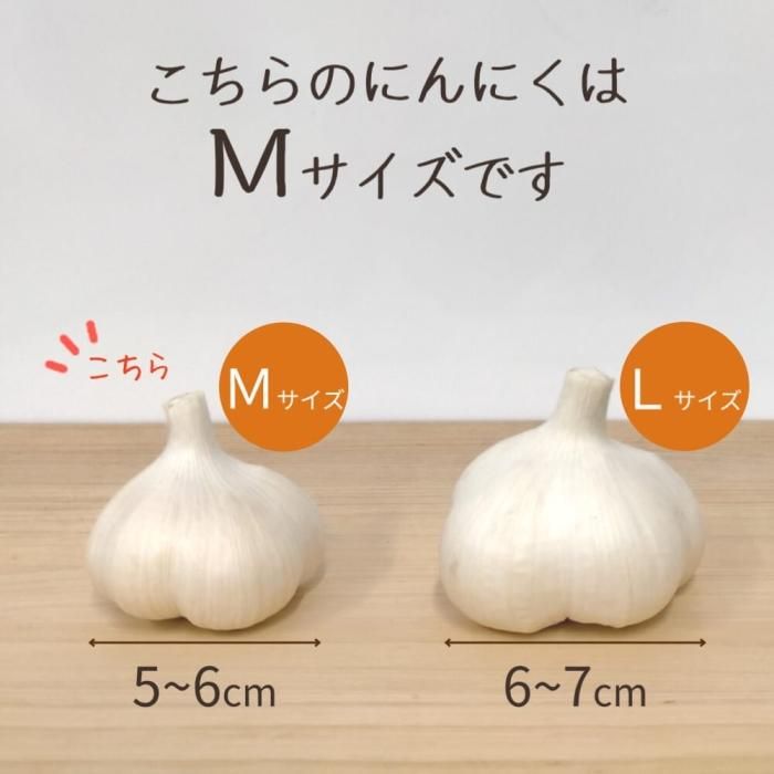 青森県にんにく2Kg  L M