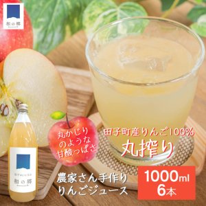【田子の美味しいりんごを搾りました！】田子町産無添加100％りんごジュース 1000ml・6本セット