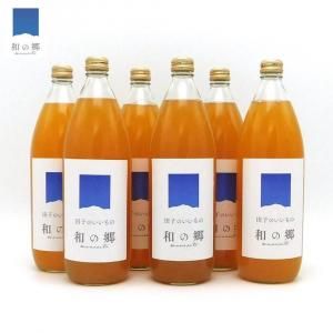 󤴥塼1000ml6