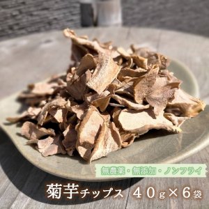 【送料無料】 菊芋チップス 40g×6袋（青森南部産無農薬栽培・無添加・ノンフライ）