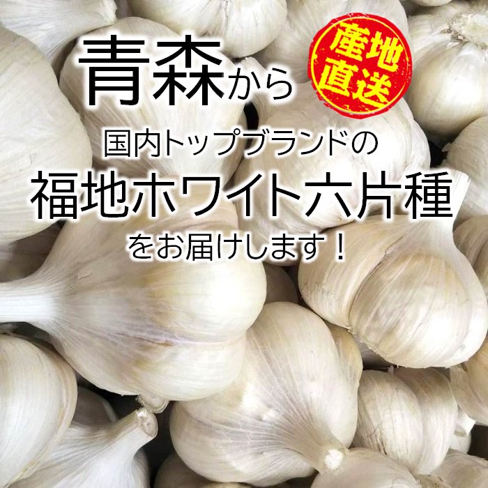 特別セール品 青森県産 福地ホワイト六片 にんにく Ｌ種用 ５キロ 消毒
