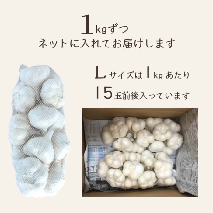青森県産にんにく（福地ホワイト六片）Lサイズ2kg 約15玉×2 青森から