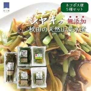 ̣4/23ޤǡ30%OFF̤ŷڿ4糧åȡ ӡդʤ䣡ڥߥå ˥ͥݥ̵