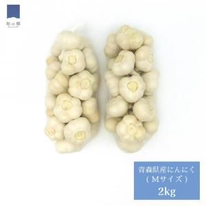 2023ǯʪͽ󾵤桪Ŀˤˤ M2kg 8ꤴͽȯ