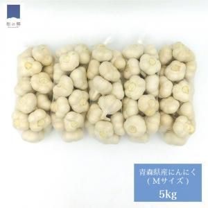2023ǯʪͽ󾵤桪Ŀˤˤ M5kg 8ꤴͽȯ