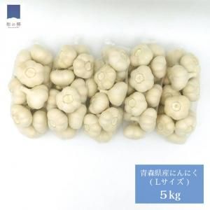 2023ǯʪͽ󾵤桪Ŀˤˤ  L5kg 8ꤴͽȯ