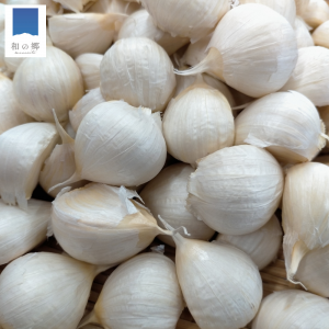 ͽʡɿʪɥХˤˤ 500g+桪7ܽвͽ