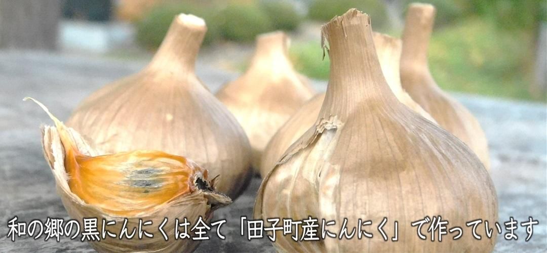 新物 特大粒 １きろ 青森県田子町のにんにく 野菜 | www.vinoflix.com