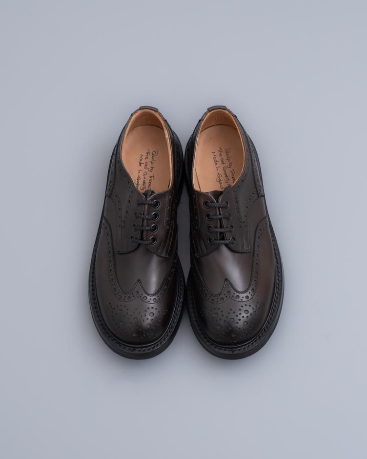 M7457 Derby Brogue Shoe / ESPRESSO Burnished / UK3.5, UK7.0 in stock