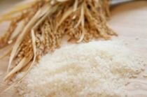令和6年度産 新米にこまる 5㎏ - あいなんマザーズ 令和6年度産 新米にこまる 5㎏ - あいなんマザーズ