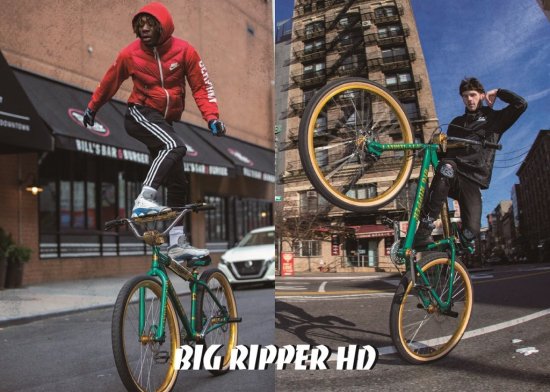 <img class='new_mark_img1' src='https://img.shop-pro.jp/img/new/icons13.gif' style='border:none;display:inline;margin:0px;padding:0px;width:auto;' />SE BIKES BIG RIPPER HD