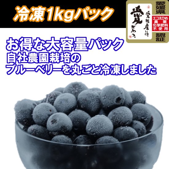 販売中止中・再開は未定】冷凍ブルーベリー 1kg - 高山ガーデンの ...