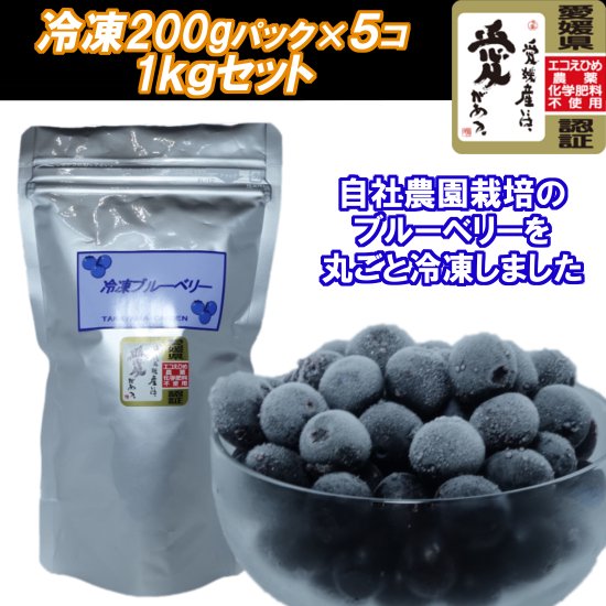 販売中止中・再開は未定】冷凍ブルーベリー 200g×5個 計１㎏セット - 高山ガーデンのオンラインショップ | 愛媛でブルーベリー35品種栽培