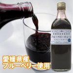 【2021年シーズン分は販売終了】愛媛県産・自社農園ブルーベリー100％使用　たかやまブルーベリーストレートジュース（500ml）5本入り