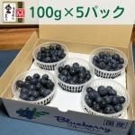 2022ǯ佪λۡڥҤʪԻѤǧ ɲ ֥롼٥꡼ 100g6ѥå