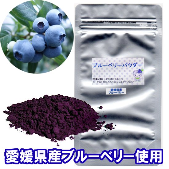 愛媛県産・自社農園ブルーベリー100%使用 たかやまブルーベリーパウダー（75g）