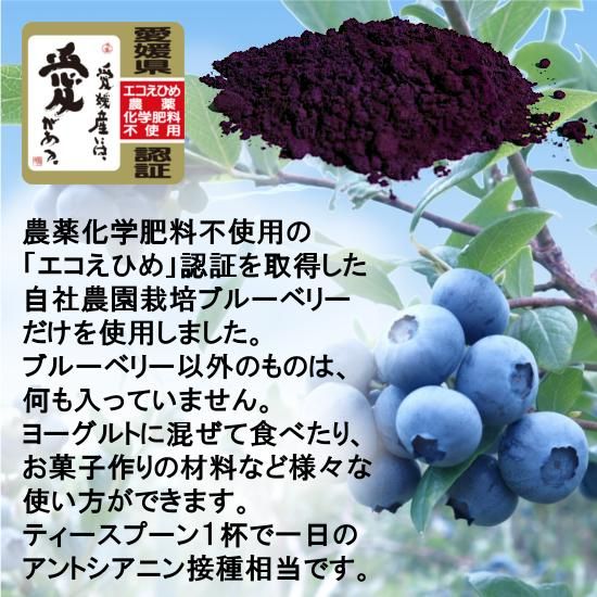 高山ガーデン 農薬 化学肥料不使用 たかやまブルーベリーパウダー 75g