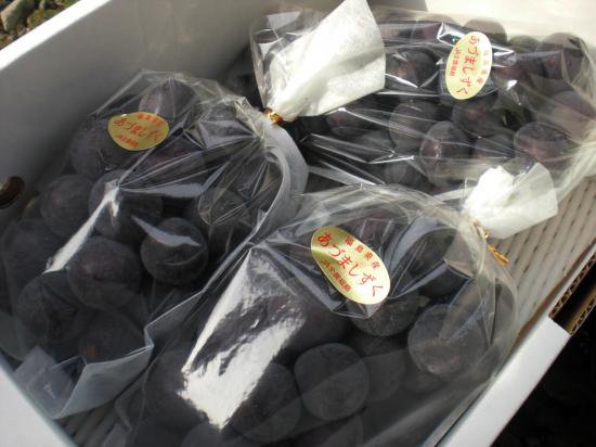 福島県生まれのぶどう オリジナル品種 あづましずく 年分販売終了 ふくしまのオイシイ をお届けする えがお福島 新鮮野菜と季節のフルーツ 特産品の通販サイト